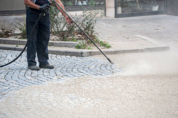 Best Dumpster Area Cleaning  in Bellmore, NY
