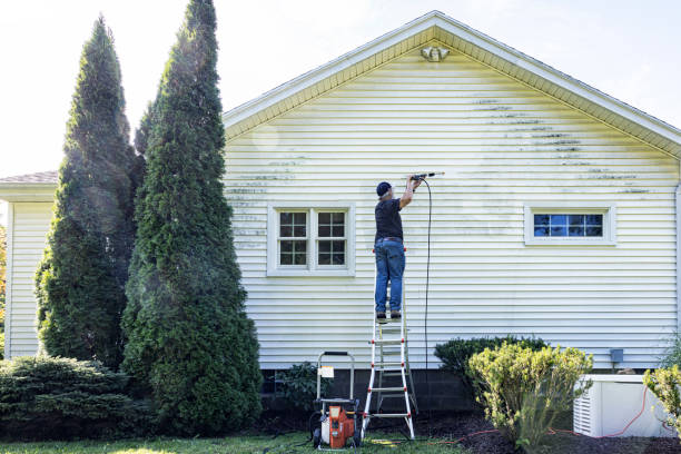 Best Gutter Cleaning  in Bellmore, NY